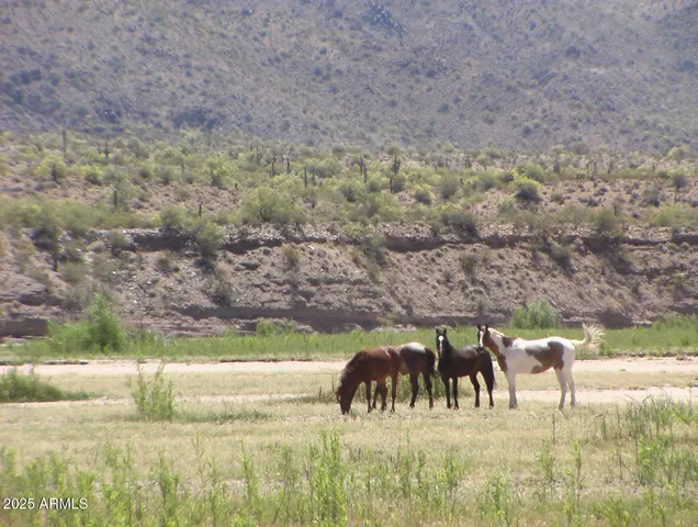 a view of swimming pool and mountain