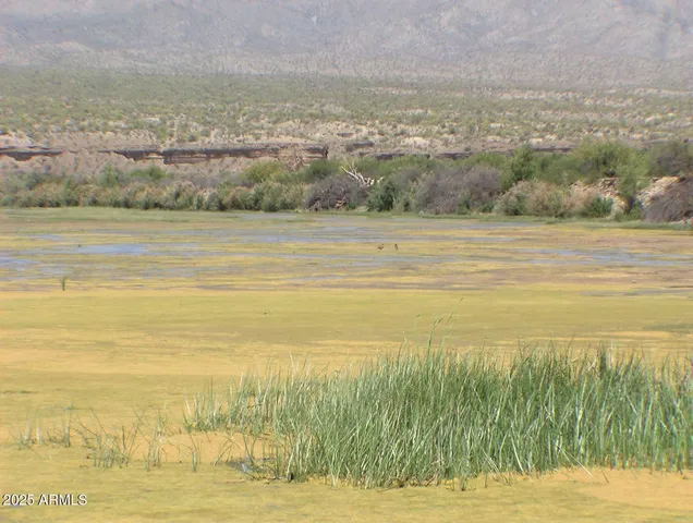 a view of an ocean and beach