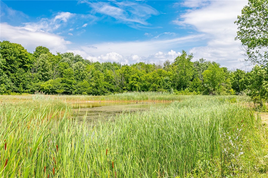 100 Windmill Trail Ogden, NY 14624 - Photo 35 of 36