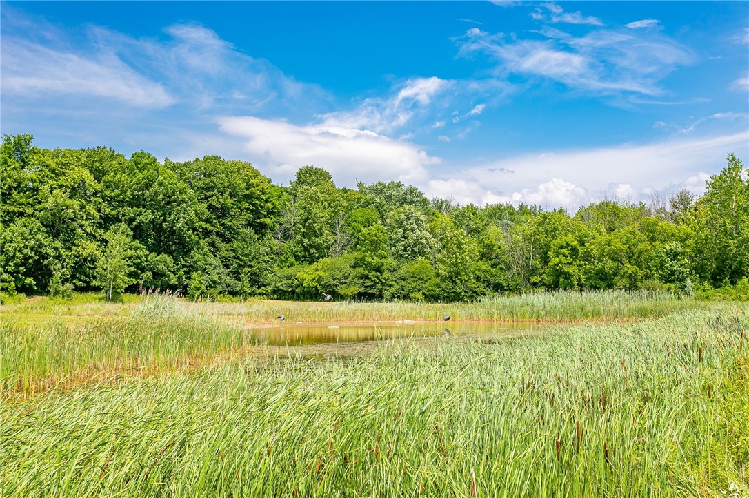 100 Windmill Trail Ogden, NY 14624 - Photo 5 of 36