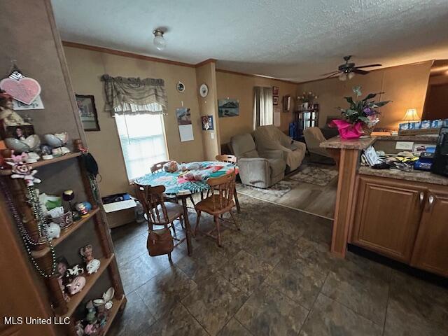 1075 Elarton Road Osyka, MS 39657 - Photo 7 of 38 IMG_2069