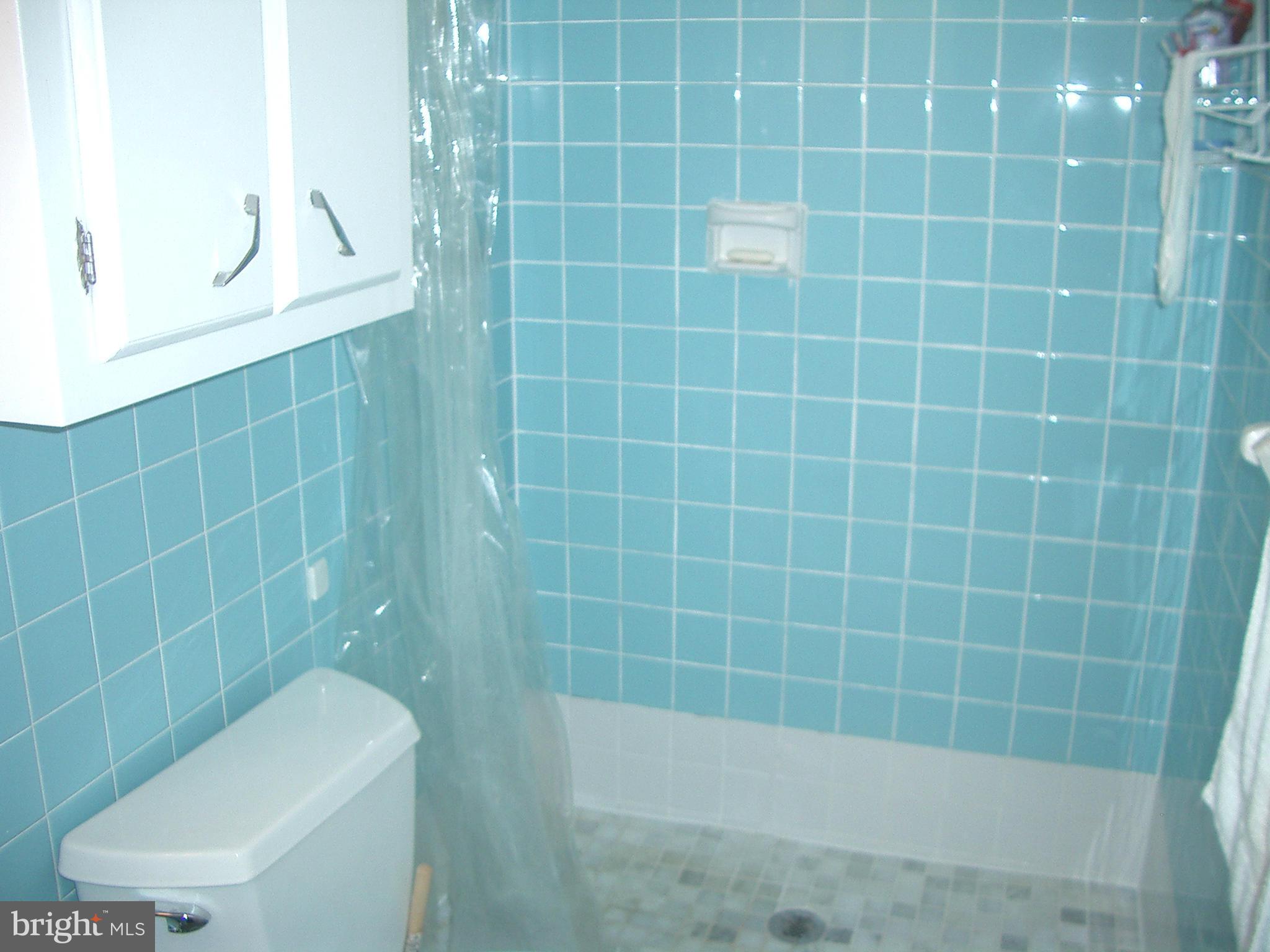 5232 Cochran Road Beltsville, MD 20705 - Photo 12 of 21 Bath (Master)