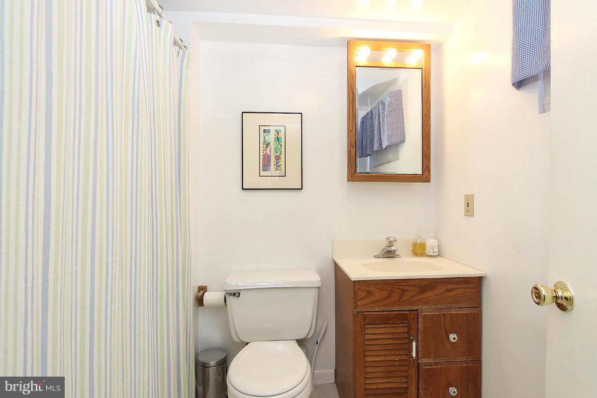 10109 Big Rock Road Silver Spring, MD 20901 - Photo 25 of 28 Lower Level Full Bath