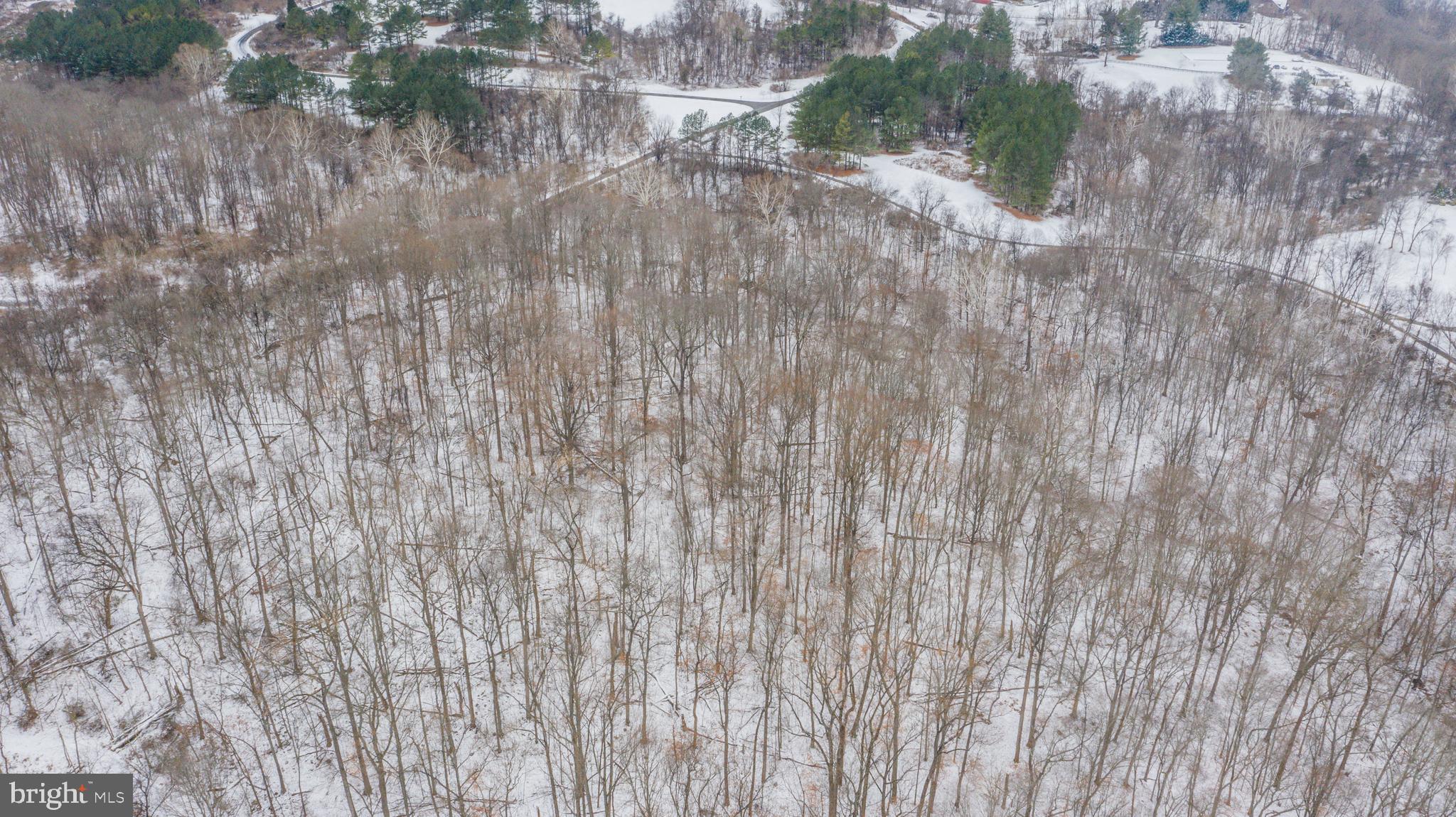 Lot 14 Rivers Edge Lovettsville, VA 20180 - Photo 5 of 11 a close up of a wooden cabinets
