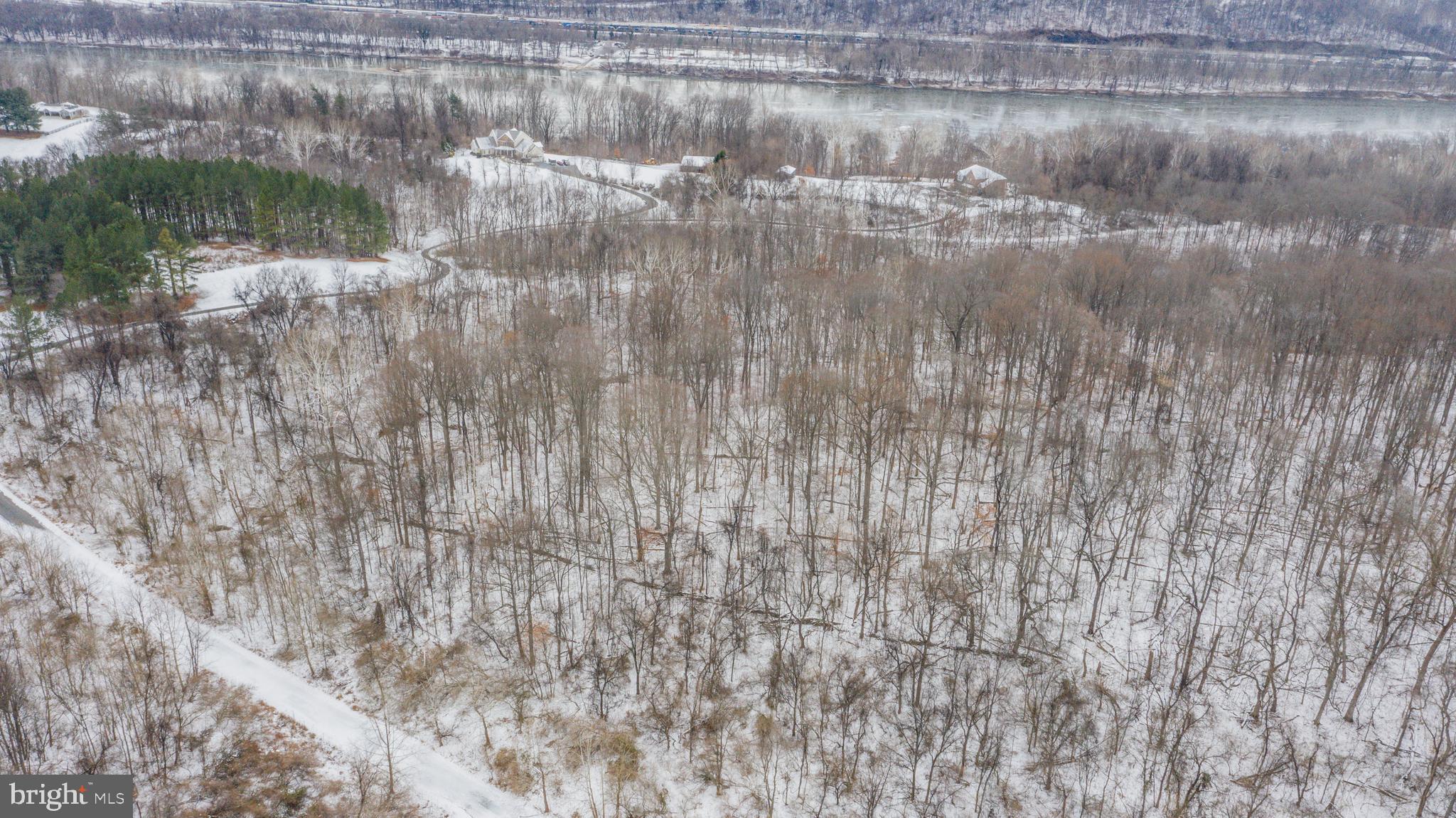 Lot 14 Rivers Edge Lovettsville, VA 20180 - Photo 6 of 11 a picture of a tree with a yard
