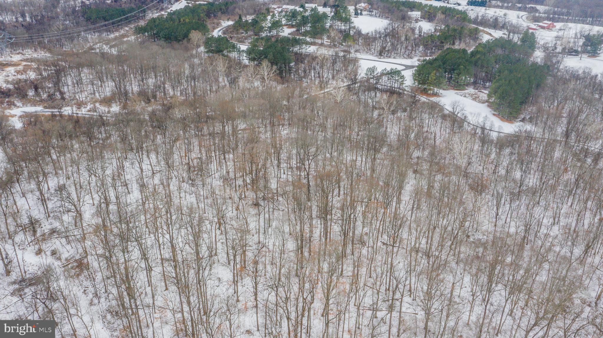 Lot 14 Rivers Edge Lovettsville, VA 20180 - Photo 10 of 11 a close up of a plant with a tree