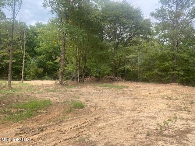 South Ricks Road Coldwater, MS 38618 - Photo 1 of 1 front view