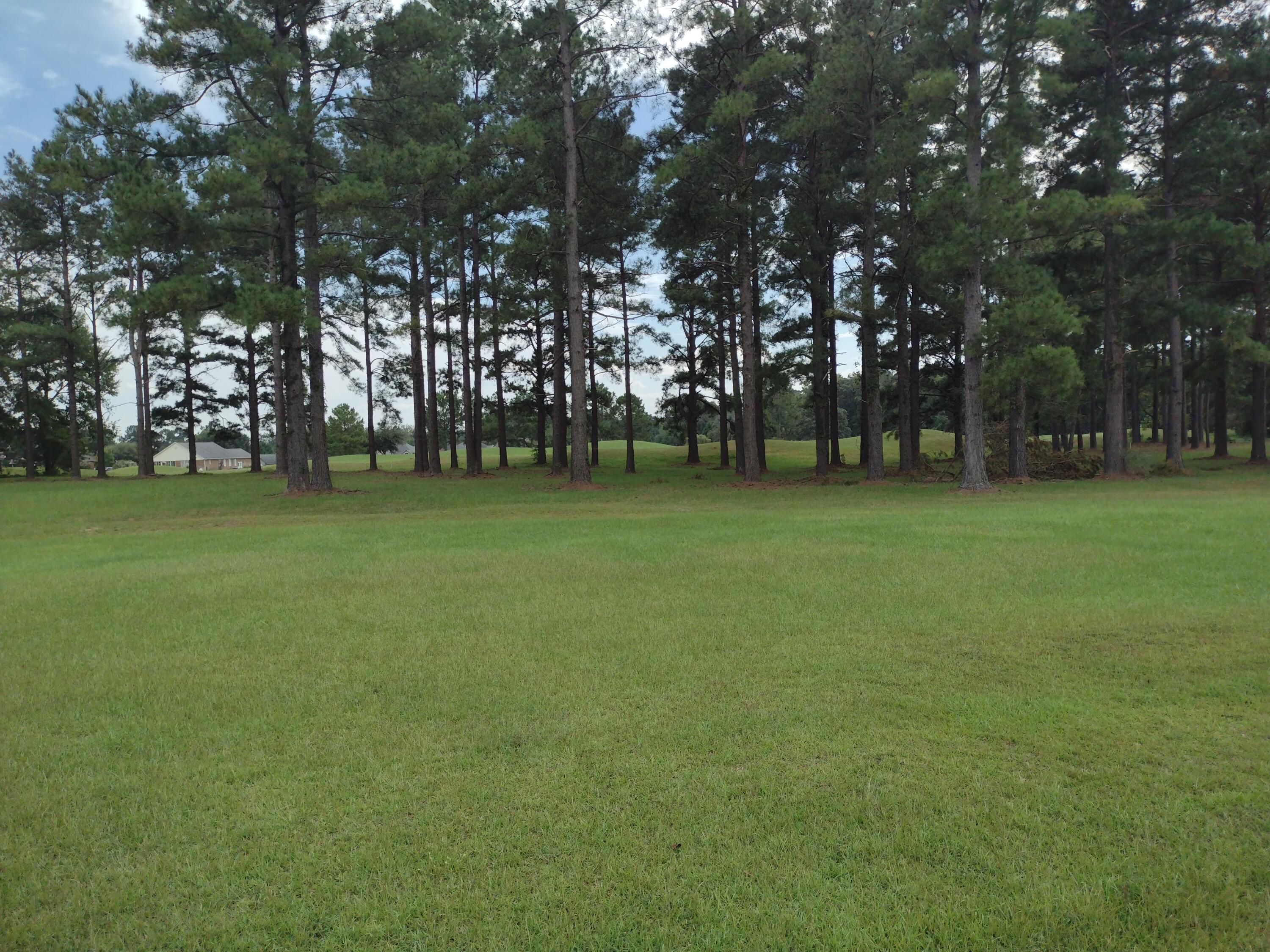 421 Pinelake Court Manning, SC 29102 - Photo 1 of 9 IMG_20230907_143851722_BURST000_COVER