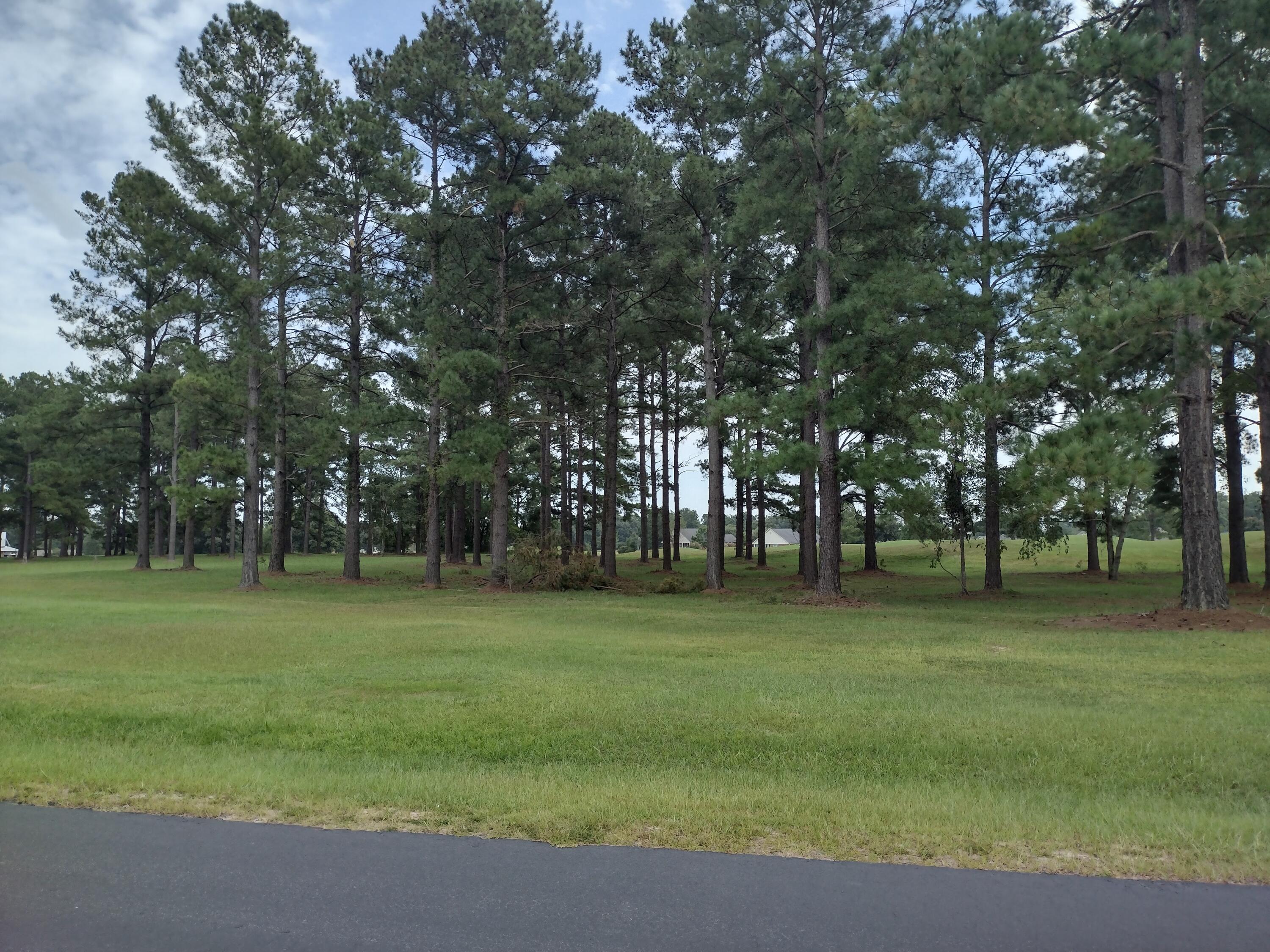 421 Pinelake Court Manning, SC 29102 - Photo 3 of 9 IMG_20230907_143608977_HDR