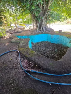a view of a street with a tree