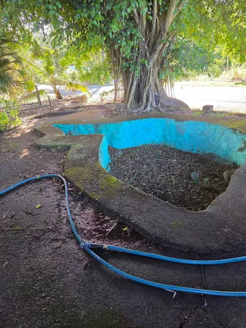 a view of a street with a tree