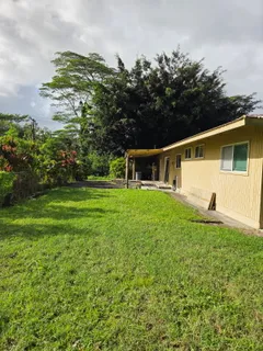a view of a backyard with plants and large tree