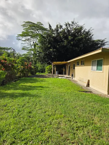 a view of a backyard with plants and large tree