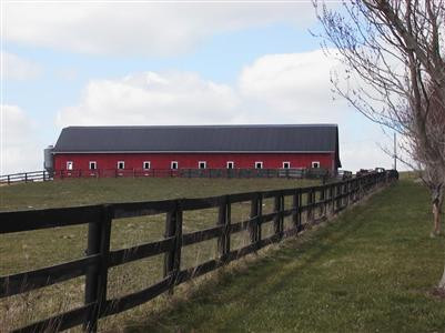 435 Stone Road Paris, KY 40361 - Photo 2 of 23 This 16 stall barn offers a large wash