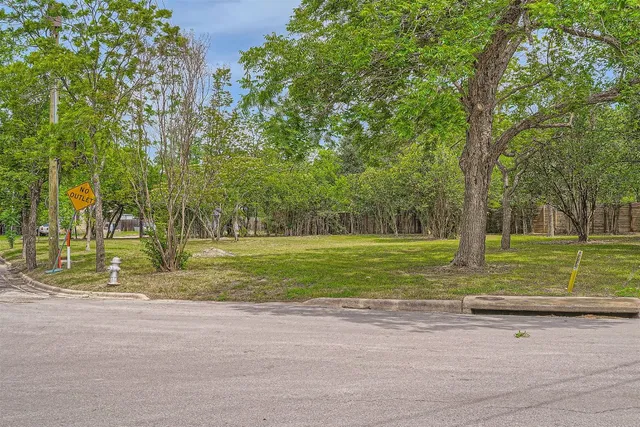 a view of backyard with trees