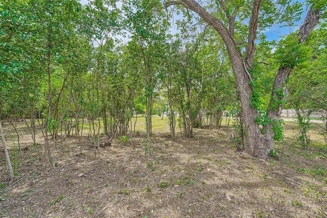 a view of a yard with a tree