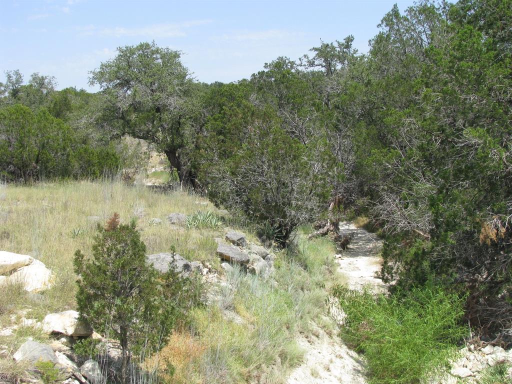 Lot 11-ph Private Road Evant, TX 76525 - Photo 23 of 25 Gallery Image 23