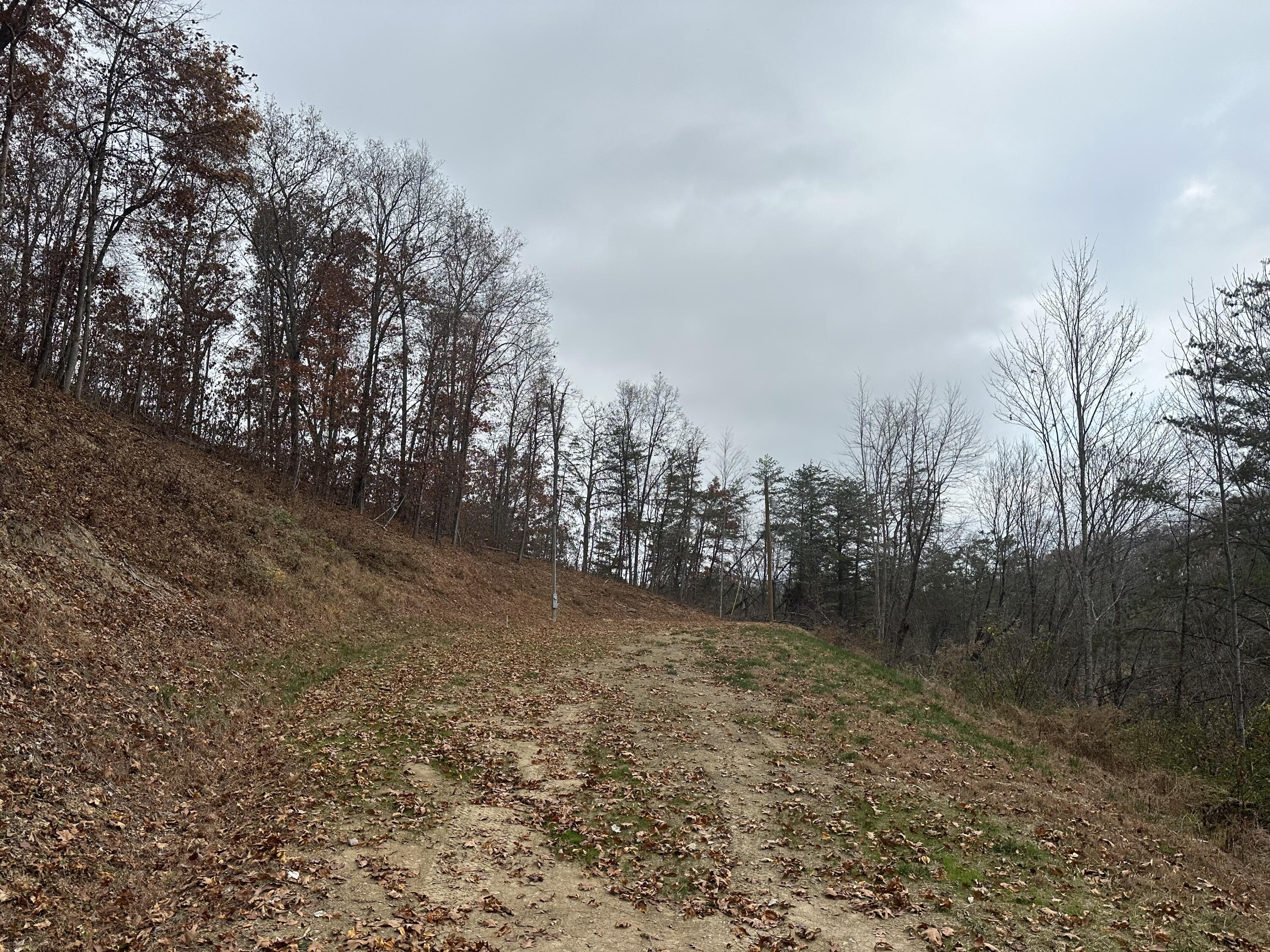 F Freeman Branch Road East Bernstadt, KY 40729 - Photo 11 of 19 IMG_0443