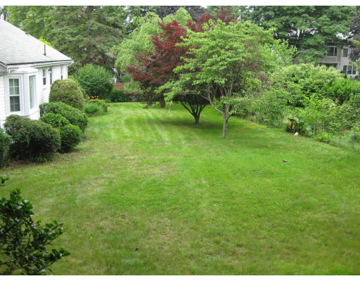 47 Webster Road Lexington, MA 02421 - Photo 4 of 7 a view of backyard with green space