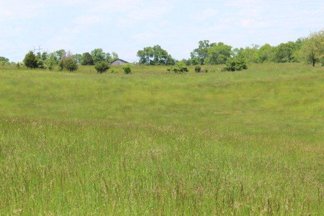 239 East Ralph Parks Road Richmond, KY 40475 - Photo 15 of 45 Photo 15