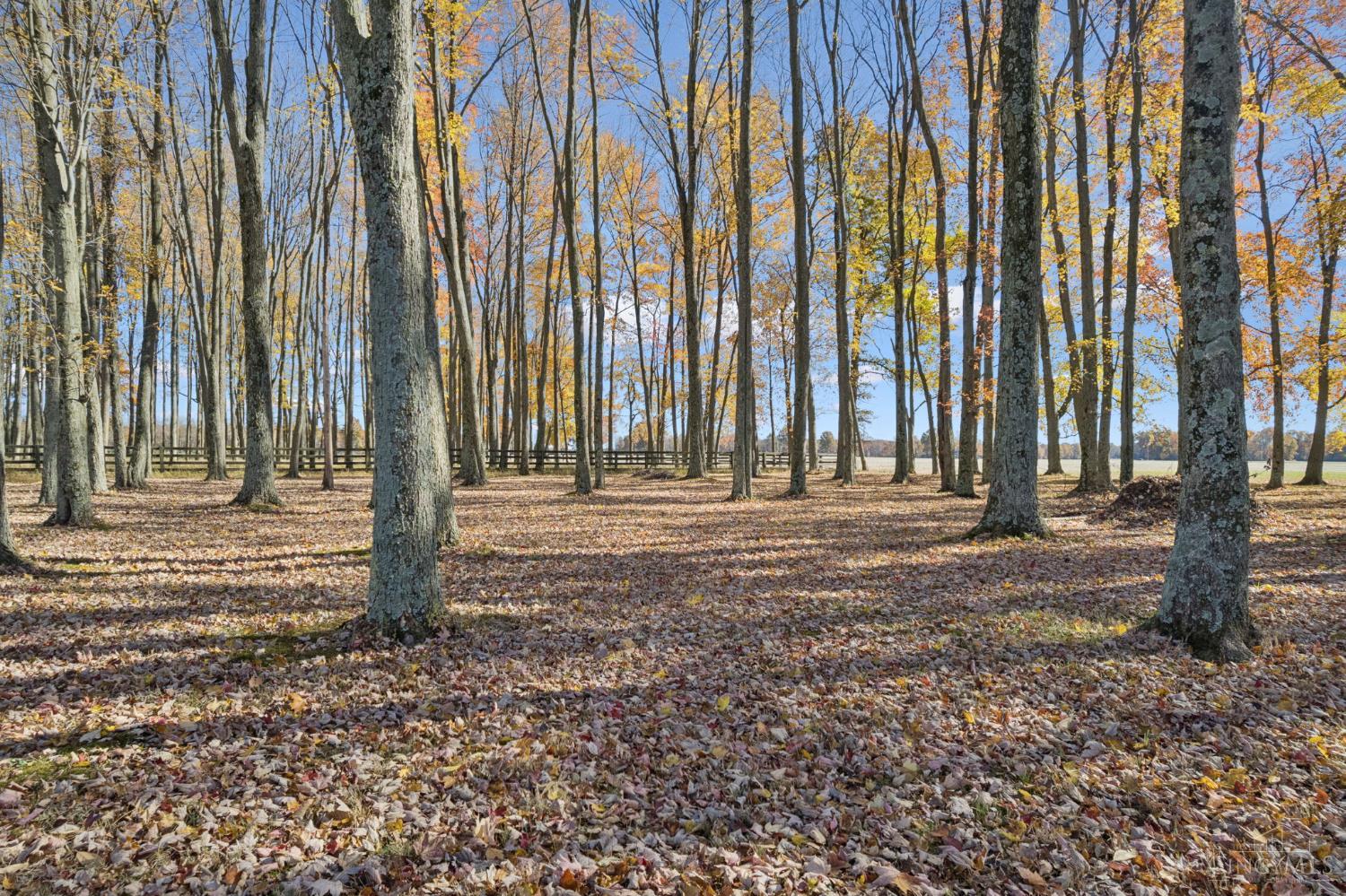 12570 Liming Van Thompson Road Mount Orab, OH 45154 - Photo 17 of 34 Gallery Image 17