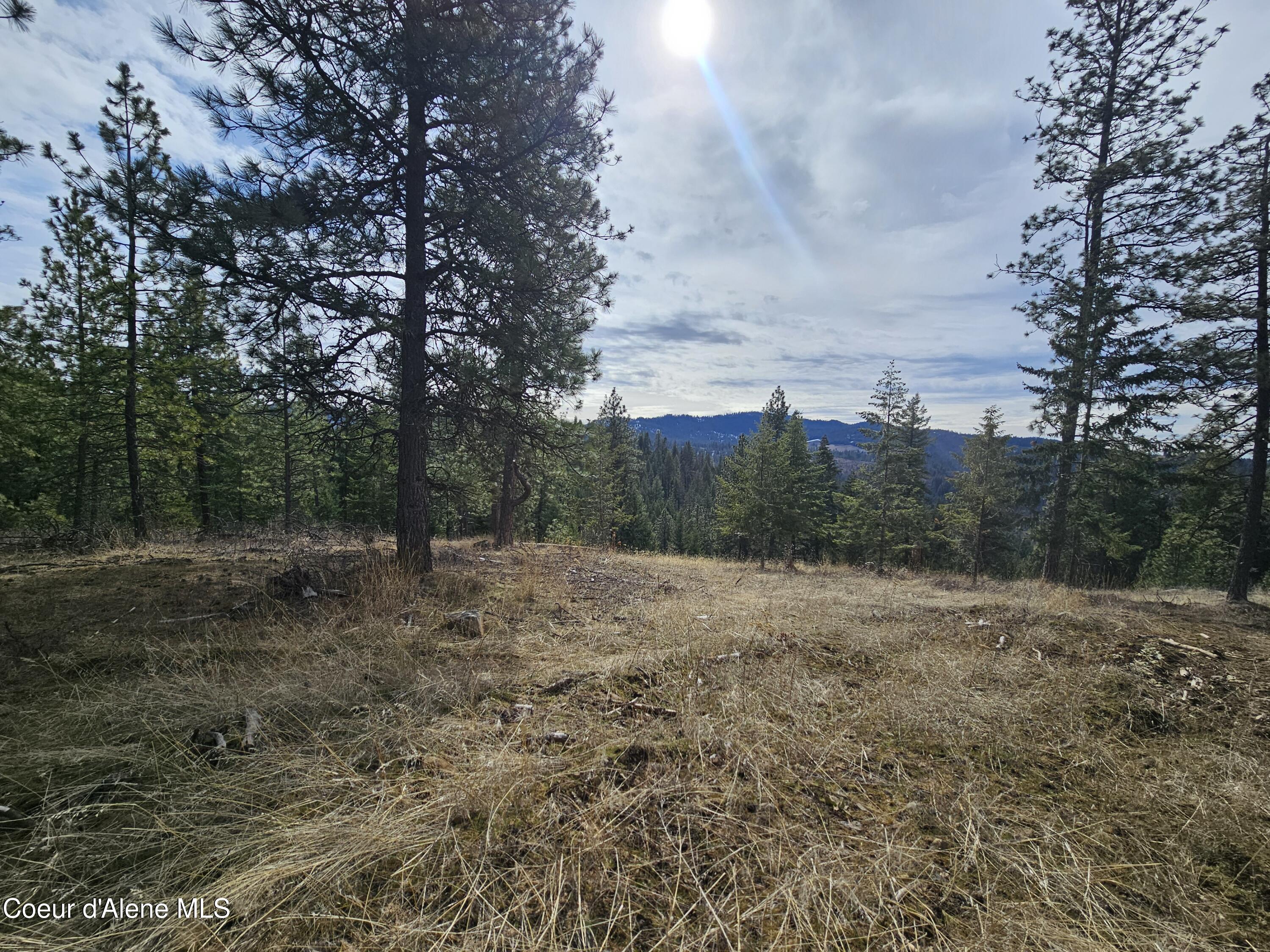 2252 East Badger Road Harrison, ID 83833 - Photo 14 of 21 Beautiful view of the mountains