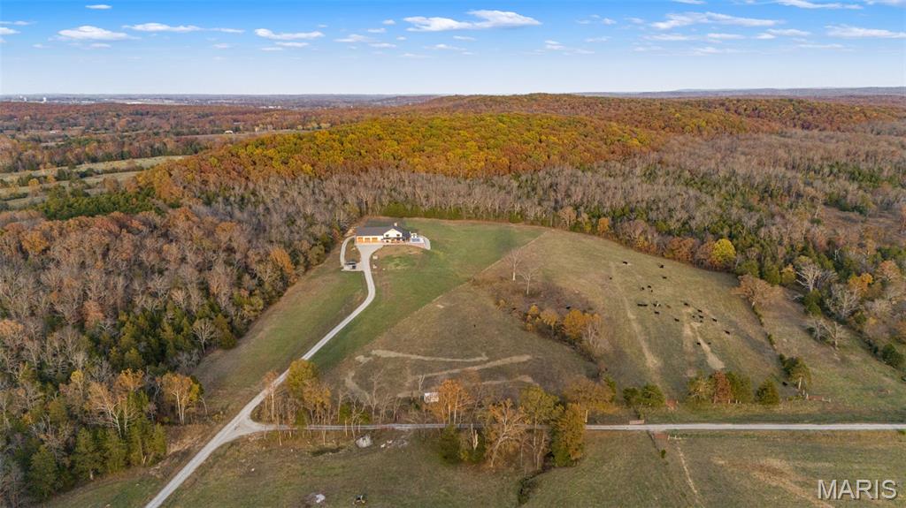 2168 Pendleton Road Farmington, MO 63640 - Photo 17 of 93