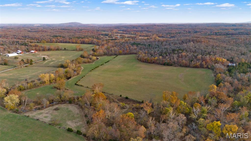 2168 Pendleton Road Farmington, MO 63640 - Photo 18 of 93