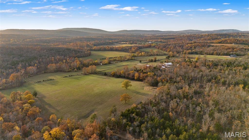 2168 Pendleton Road Farmington, MO 63640 - Photo 9 of 93