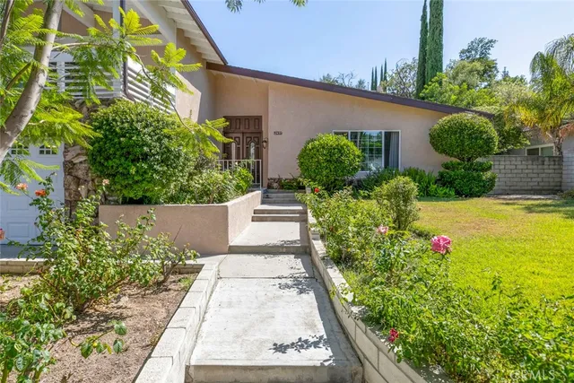 a view of a garden with plants