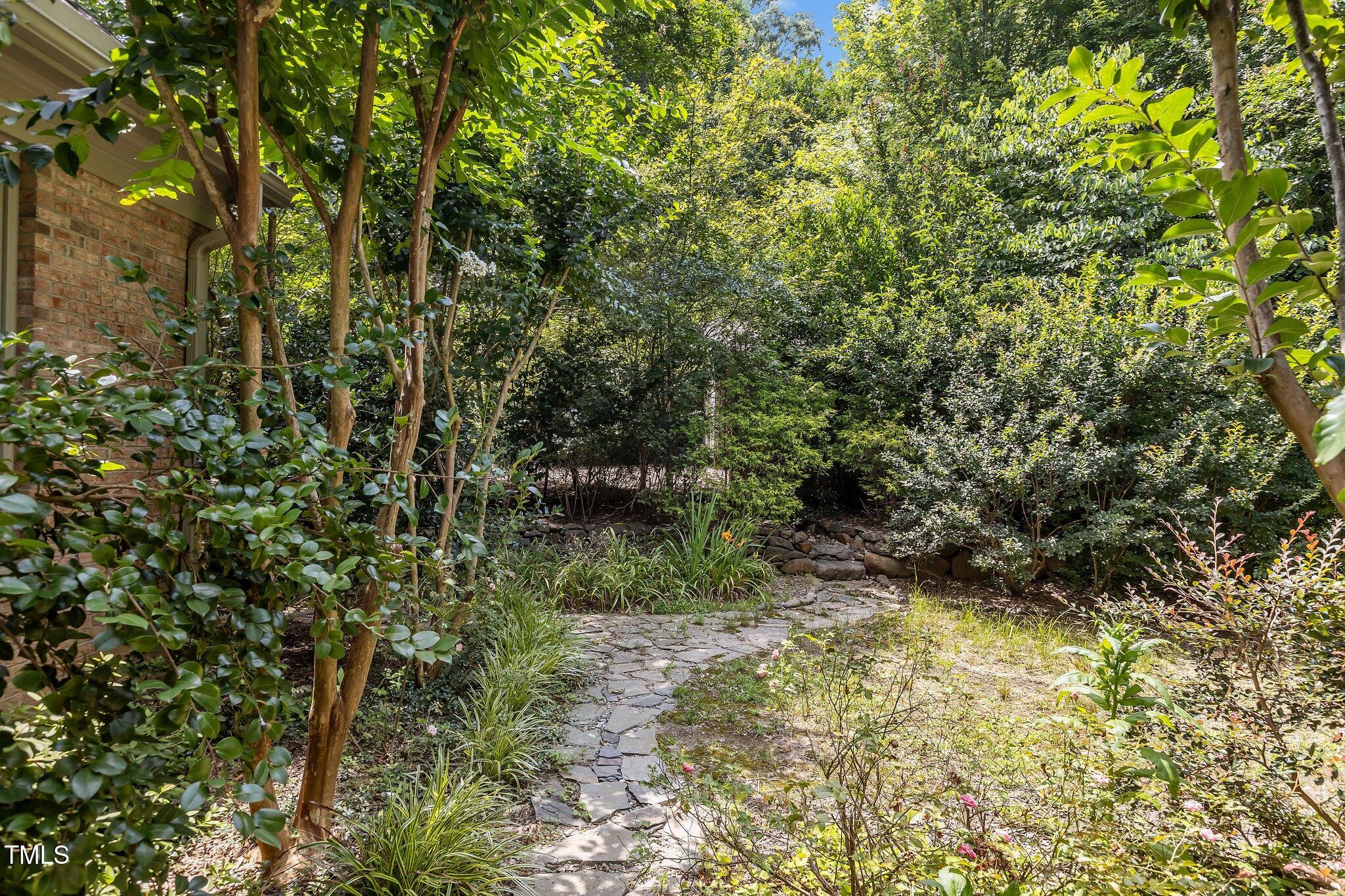 3600 Trail 23 Durham, NC 27707 - Photo 54 of 68 a view of a forest with a tree