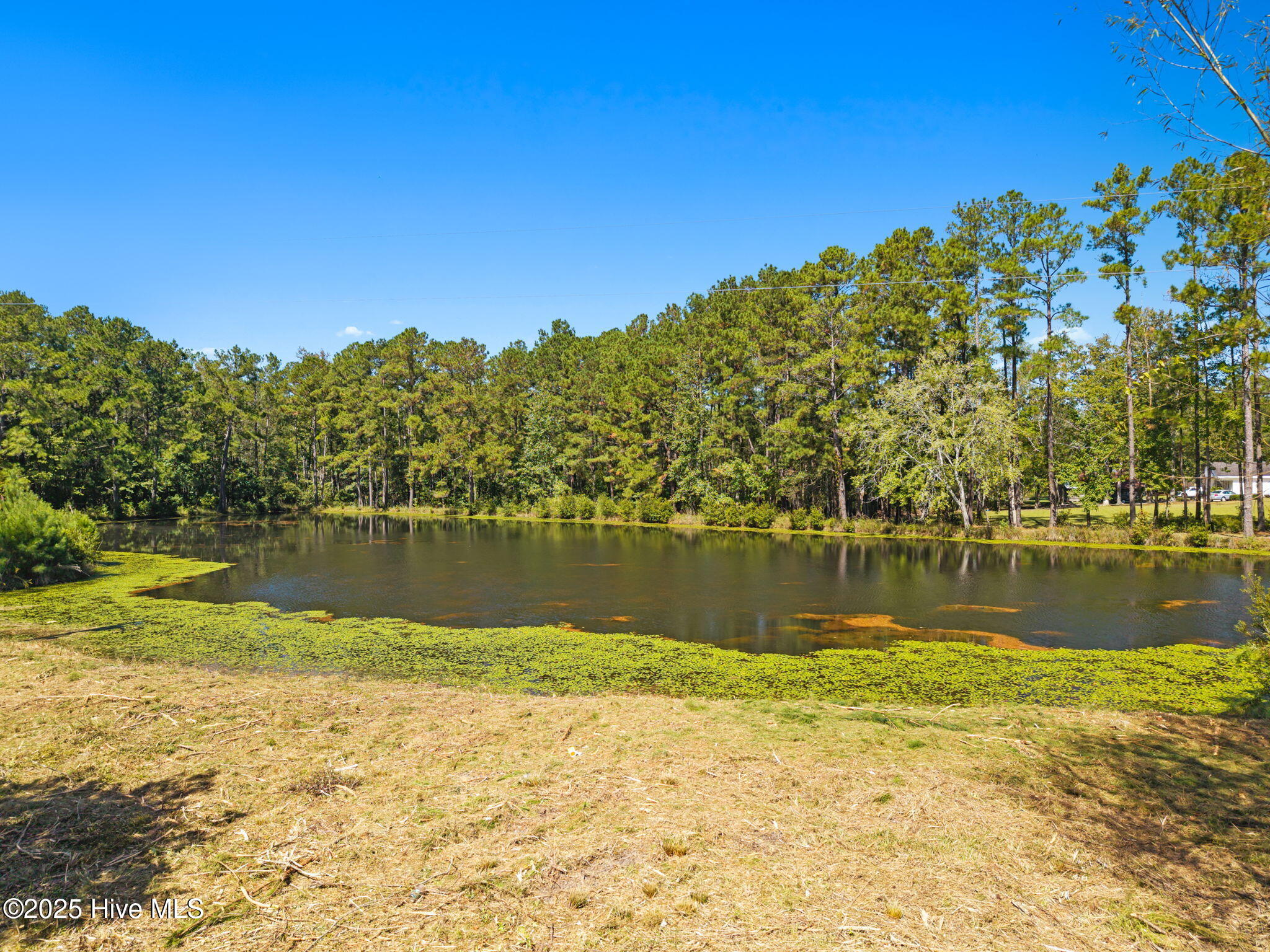 245 Spivey Road Tabor City, NC 28463 - Photo 16 of 33 13-web-or-mls-CamMediaLLC.com (16 of 26)