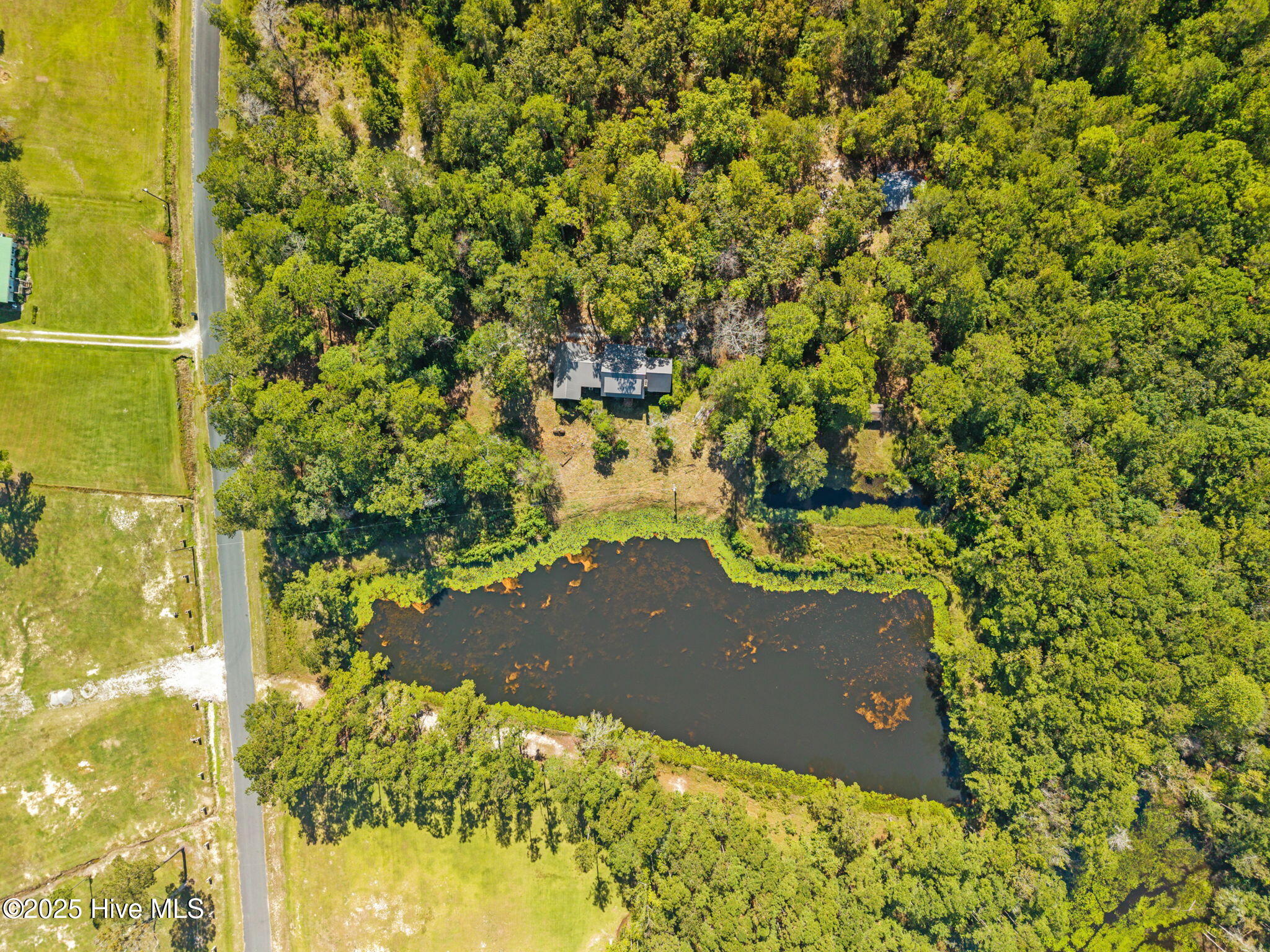 245 Spivey Road Tabor City, NC 28463 - Photo 21 of 33 18-web-or-mls-CamMediaLLC.com (23 of 26)