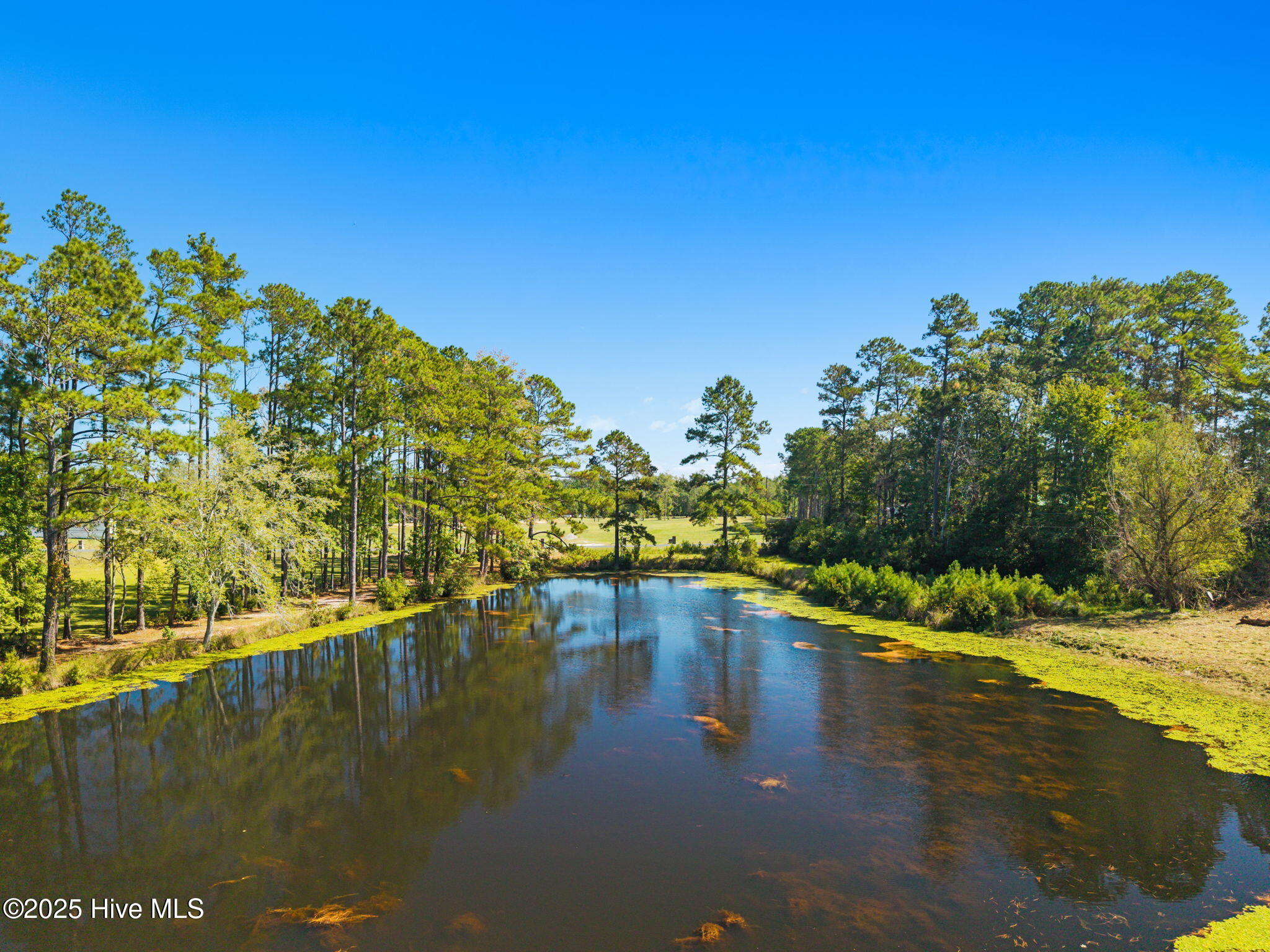 245 Spivey Road Tabor City, NC 28463 - Photo 9 of 33 5-web-or-mls-CamMediaLLC.com (10 of 26)