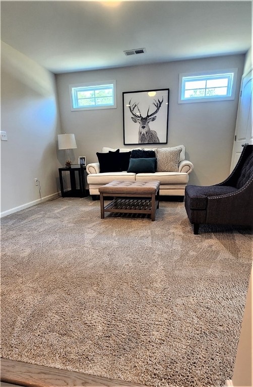 101 Bellflower Lane Pendleton, SC 29670 - Photo 27 of 50