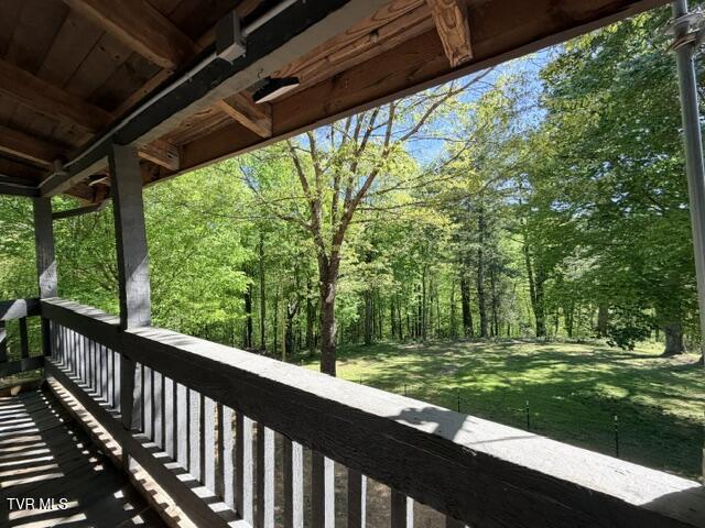 335 Bear Cage Road Roan Mountain, TN 37687 - Photo 30 of 68 IMG_1170