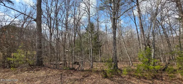 $18,000 | 7 Cumberland Lakes Drive, Monterey, TN 38574