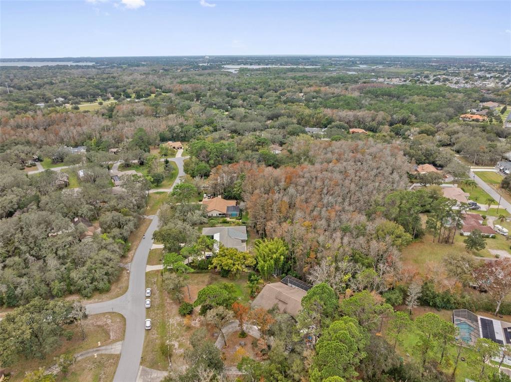 1237 Littlefield Drive New Port Richey, FL 34655 - Photo 60 of 70 Gallery Image 60
