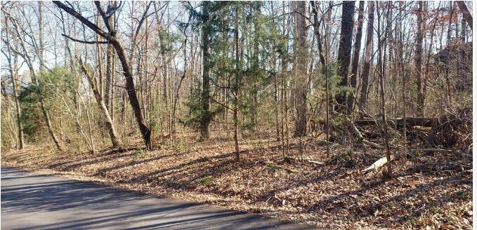 Lot #60 Northeast Lewis Lane Road Cleveland, TN 37312 - Photo 2 of 5 Screen Shot 2023-02-04 at 2.02.14 PM