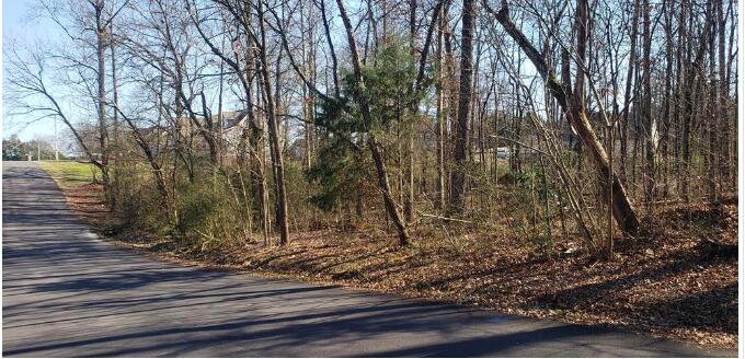Lot #60 Northeast Lewis Lane Road Cleveland, TN 37312 - Photo 3 of 5 Screen Shot 2023-02-04 at 2.02.21 PM