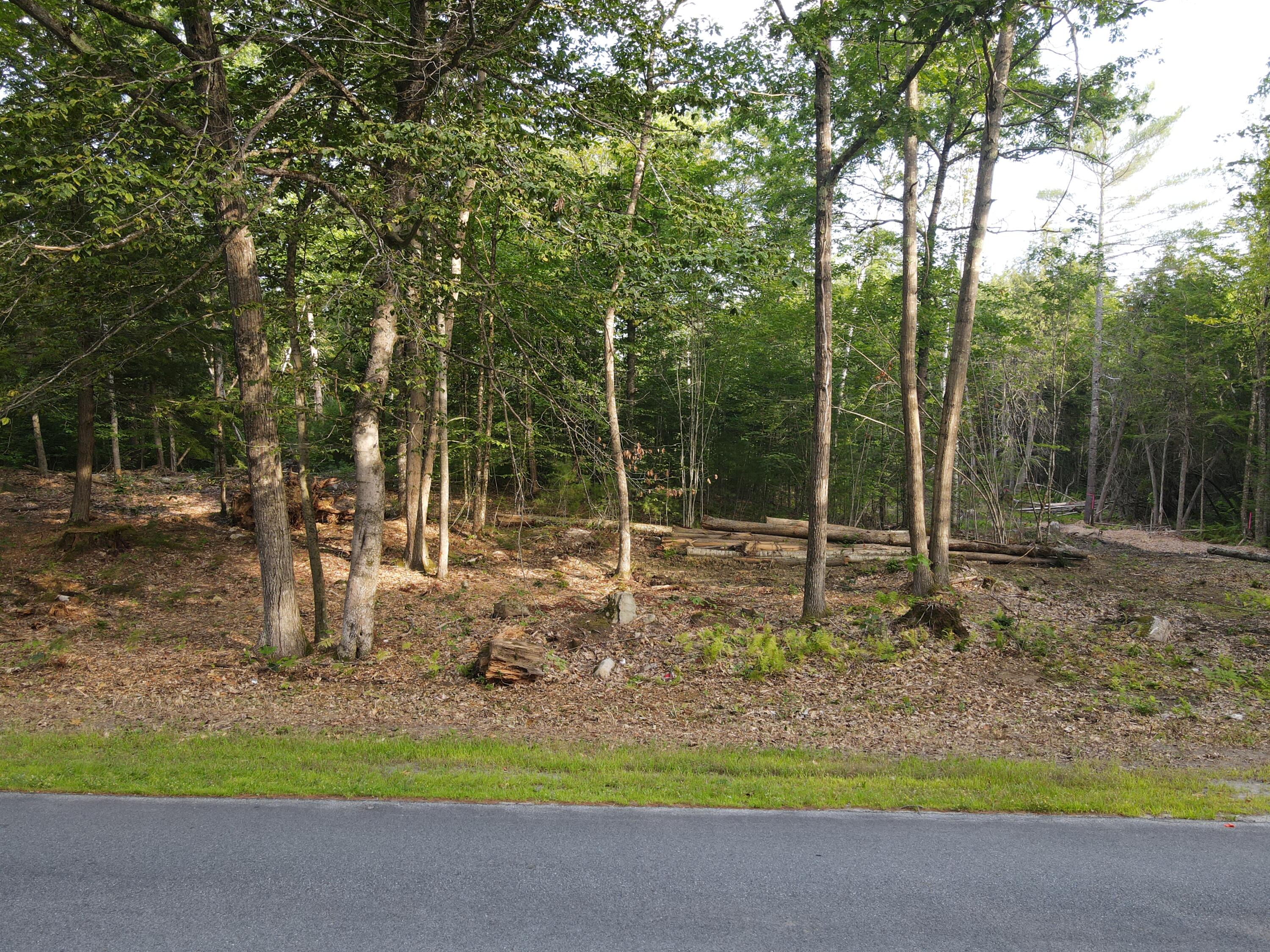 Lot 5 Oak Pond Road Canaan, ME 04924 - Photo 1 of 7 dji_fly_20250807_075336_583_175457144116