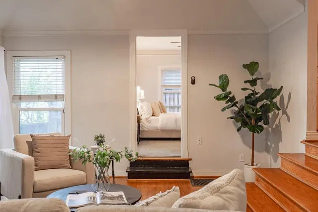 a living room with furniture flowerpot and a potted plant