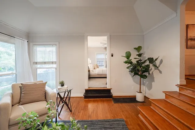 a living room with furniture and a potted plant