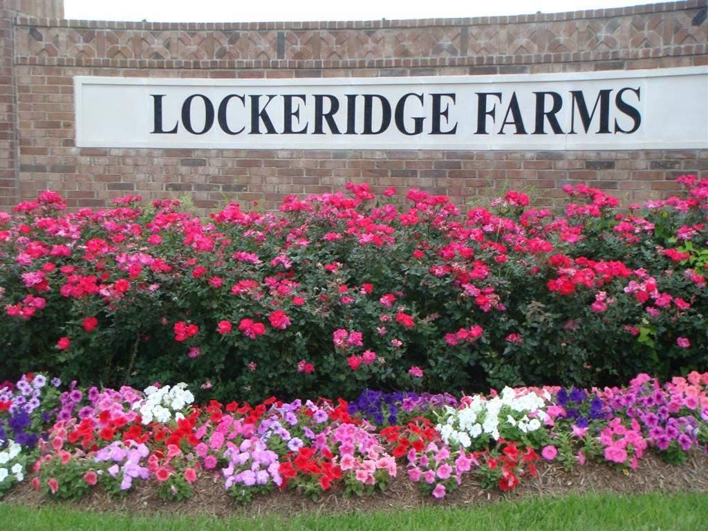 2822 Lockeridge Cove Drive Spring, TX 77386 - Photo 14 of 15