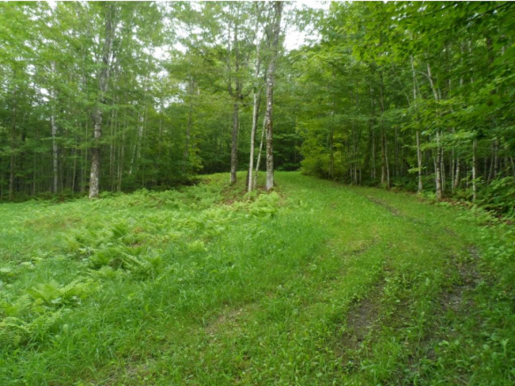 Lot 19 Cook Road Stewartstown, NH 03576 - Photo 14 of 14