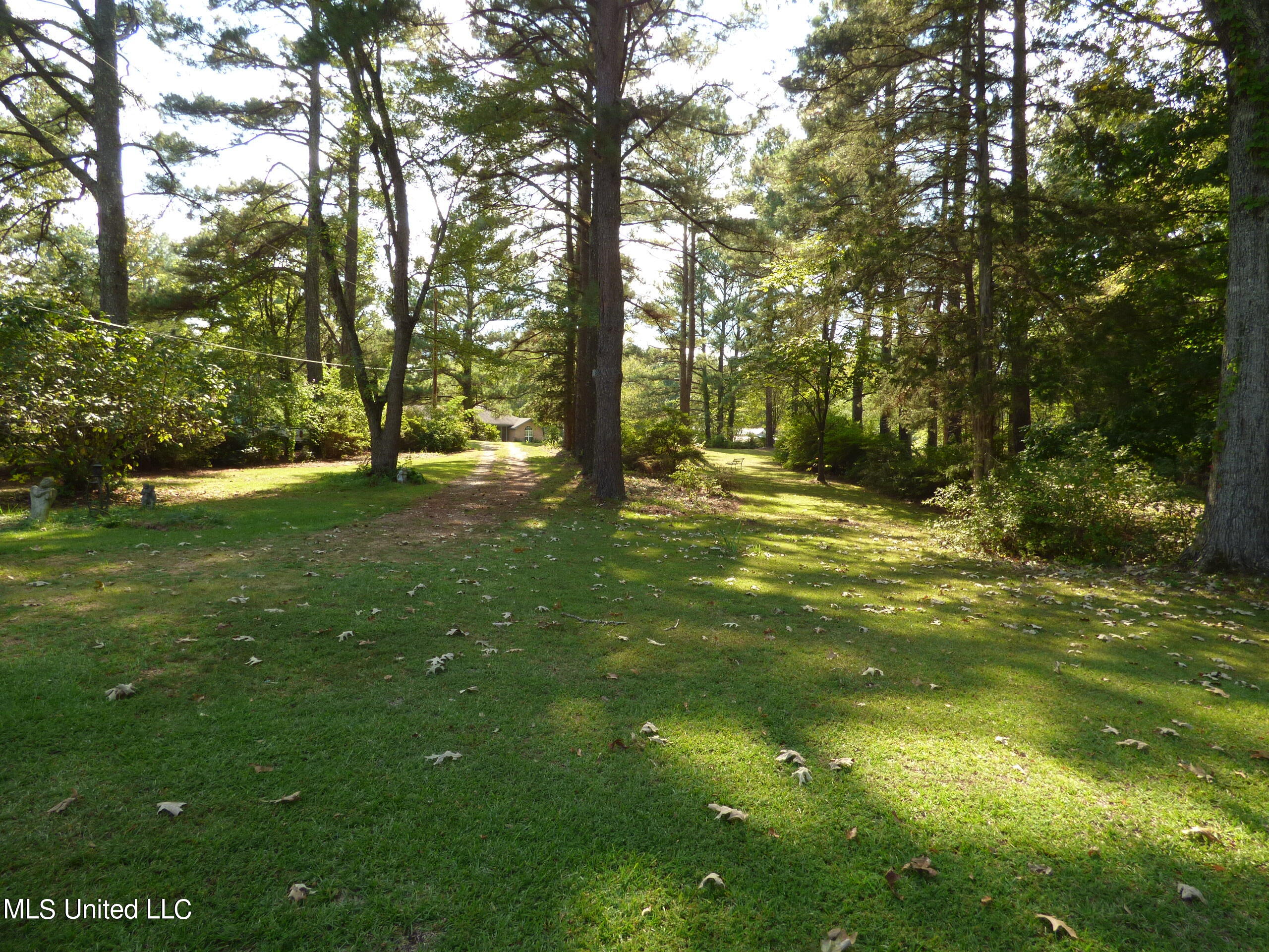 131 Minton Road Byhalia, MS 38611 - Photo 26 of 35 P1320368