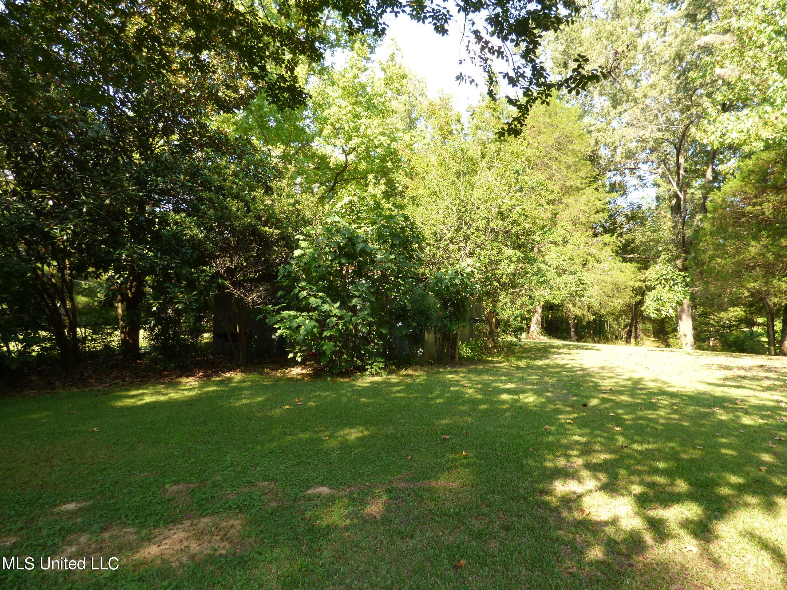 131 Minton Road Byhalia, MS 38611 - Photo 27 of 35 P1320373