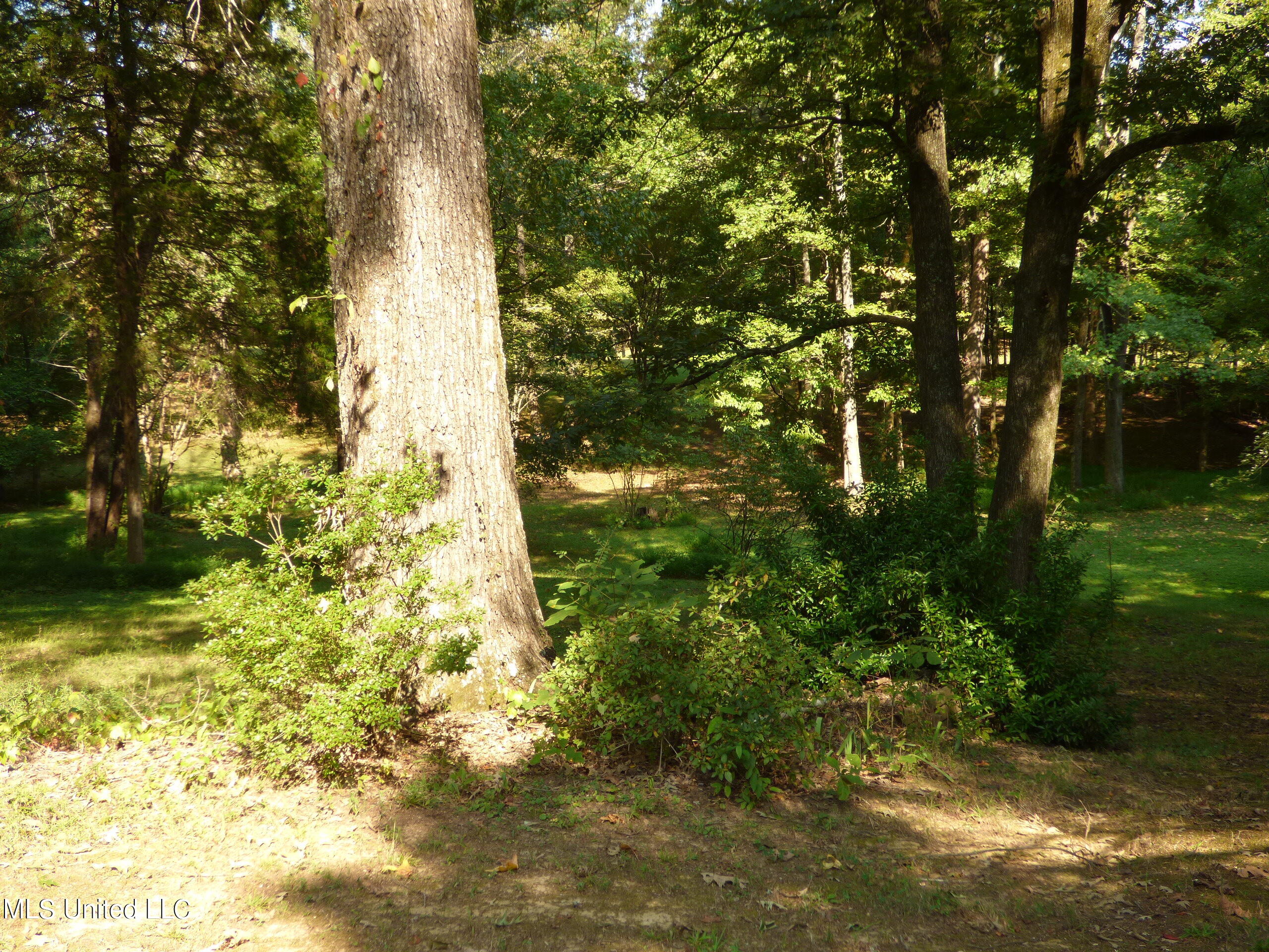 131 Minton Road Byhalia, MS 38611 - Photo 30 of 35 P1320377