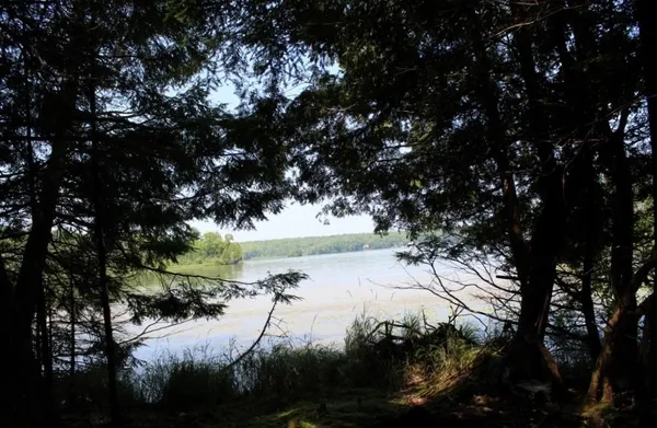 $186,000 | Forest Lane, Unit 3, Pickerel, WI 54465