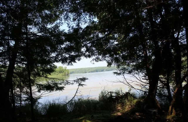 $186,000 | Forest Lane, Unit 3, Pickerel, WI 54465